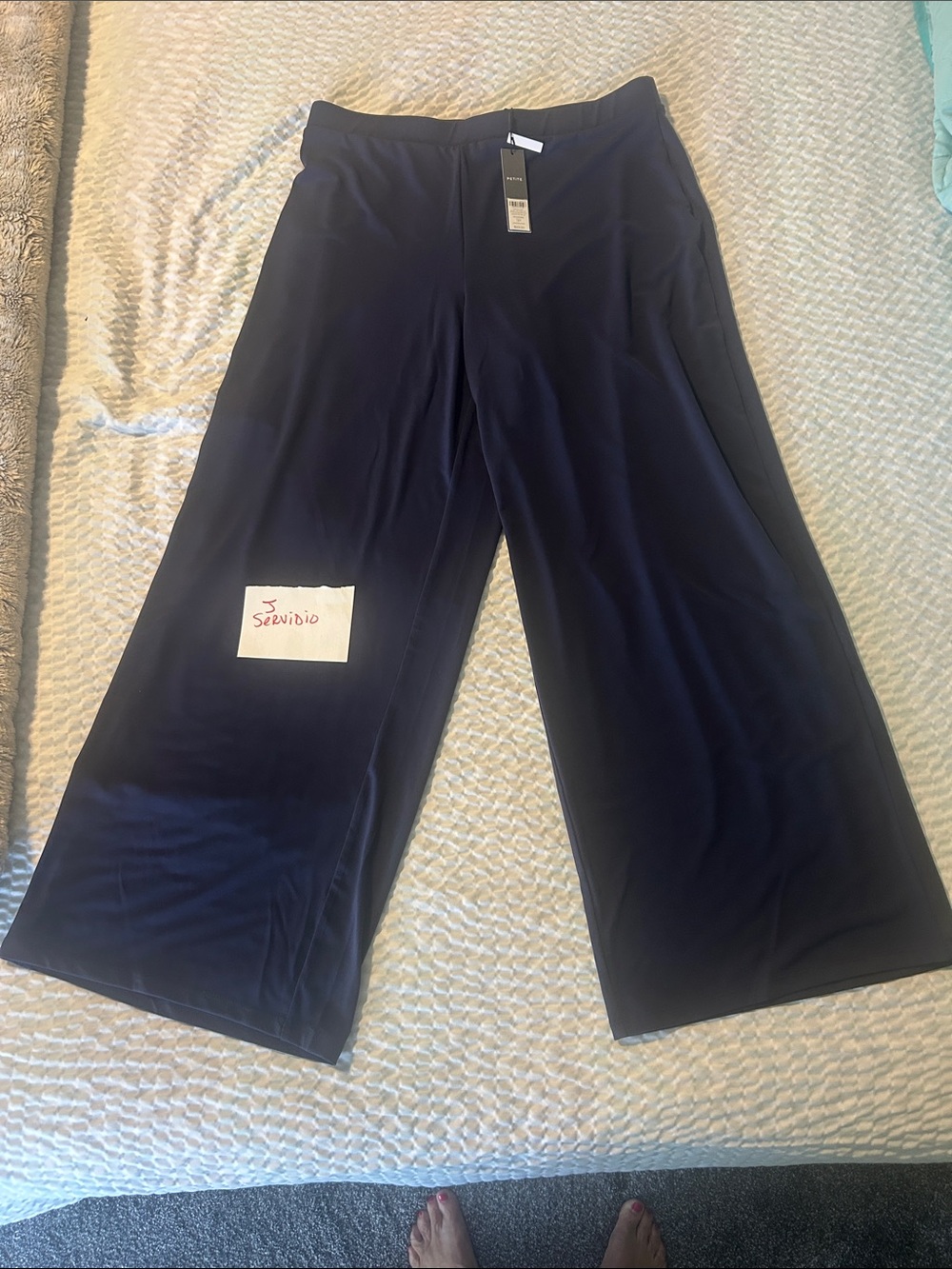 Chico's Travelers Navy/Passport blue Wide-Leg Pant - NWT!